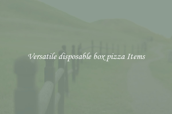 Versatile disposable box pizza Items