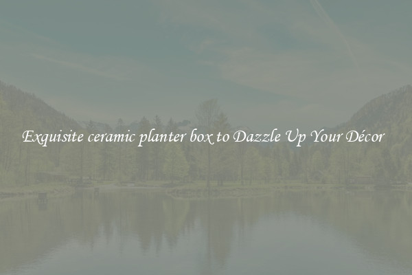 Exquisite ceramic planter box to Dazzle Up Your Décor  