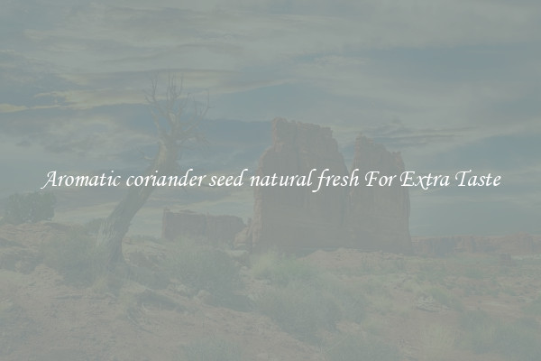 Aromatic coriander seed natural fresh For Extra Taste