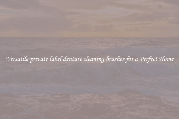 Versatile private label denture cleaning brushes for a Perfect Home