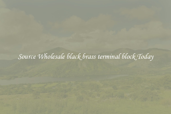 Source Wholesale black brass terminal block Today