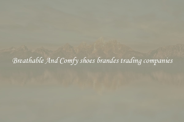 Breathable And Comfy shoes brandes trading companies