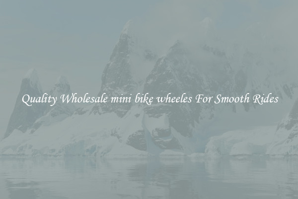 Quality Wholesale mini bike wheeles For Smooth Rides