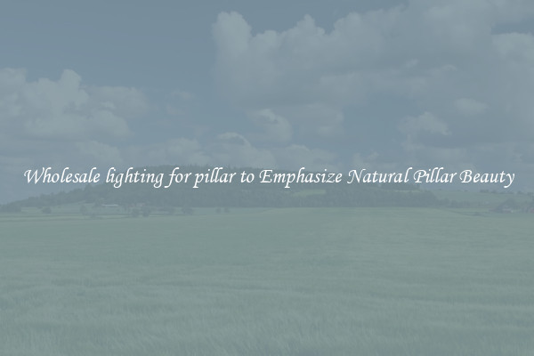 Wholesale lighting for pillar to Emphasize Natural Pillar Beauty