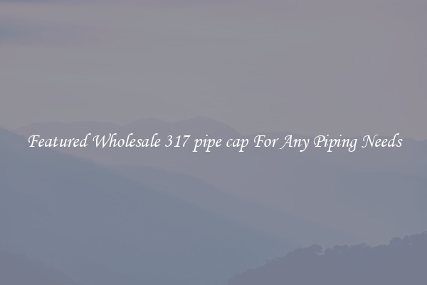 Featured Wholesale 317 pipe cap For Any Piping Needs