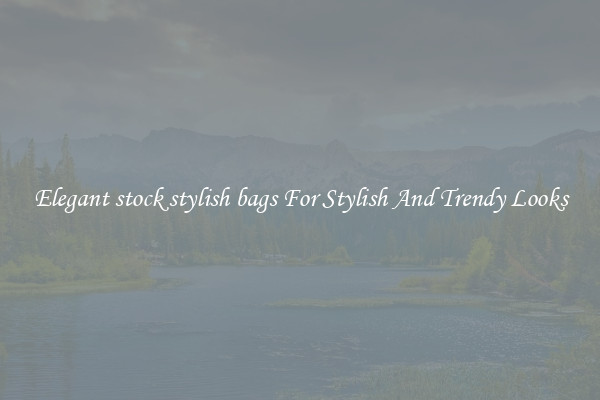 Elegant stock stylish bags For Stylish And Trendy Looks