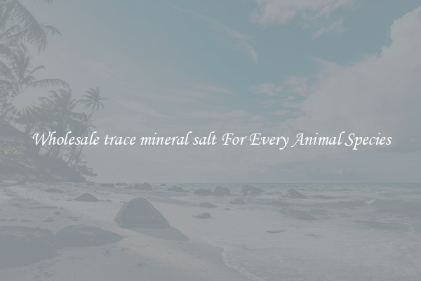 Wholesale trace mineral salt For Every Animal Species
