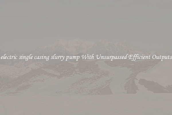 electric single casing slurry pump With Unsurpassed Efficient Outputs