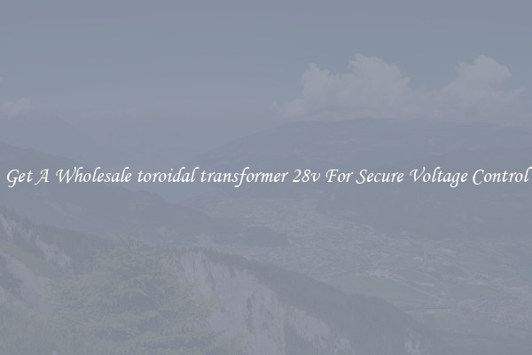 Get A Wholesale toroidal transformer 28v For Secure Voltage Control