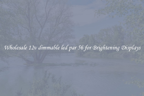 Wholesale 12v dimmable led par 56 for Brightening Displays