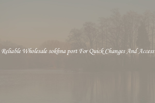 Reliable Wholesale sokhna port For Quick Changes And Access