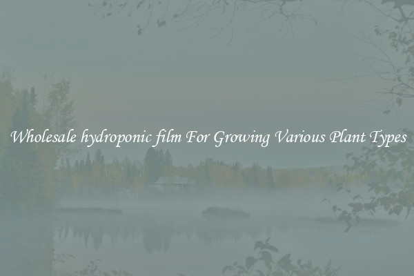 Wholesale hydroponic film For Growing Various Plant Types