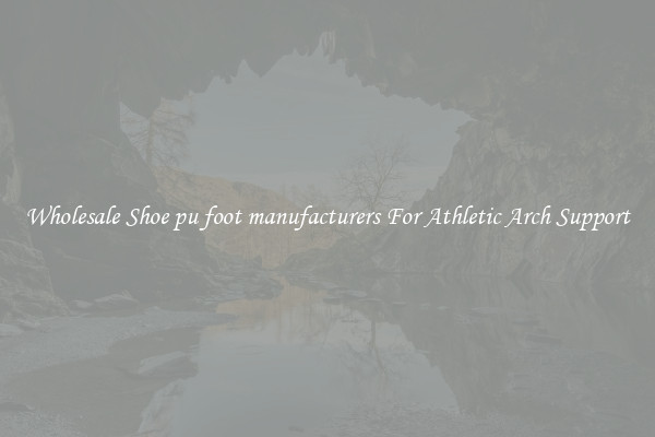 Wholesale Shoe pu foot manufacturers For Athletic Arch Support