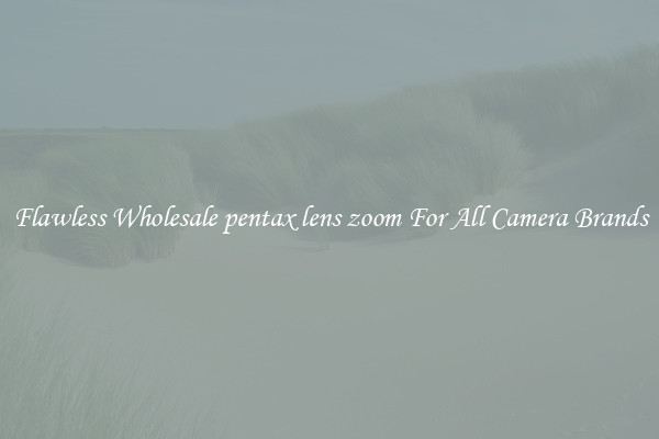 Flawless Wholesale pentax lens zoom For All Camera Brands