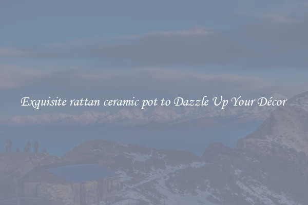 Exquisite rattan ceramic pot to Dazzle Up Your Décor 