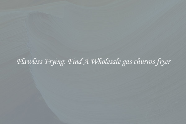 Flawless Frying: Find A Wholesale gas churros fryer