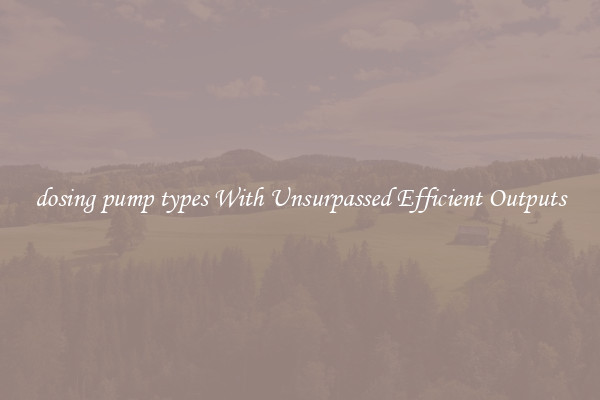 dosing pump types With Unsurpassed Efficient Outputs