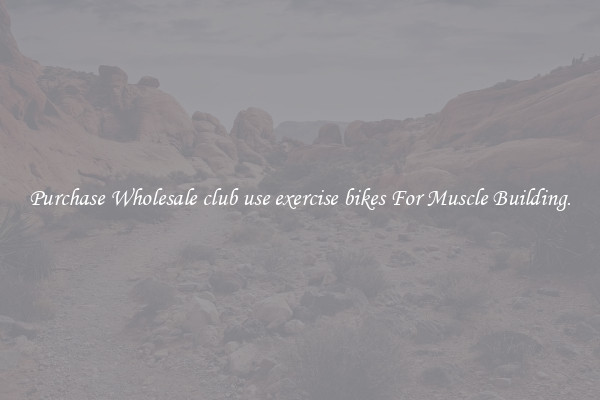 Purchase Wholesale club use exercise bikes For Muscle Building.