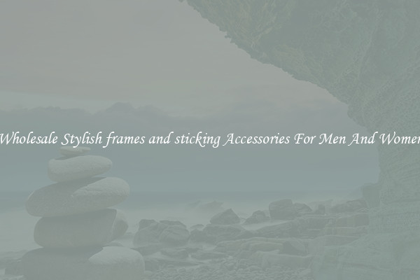 Wholesale Stylish frames and sticking Accessories For Men And Women