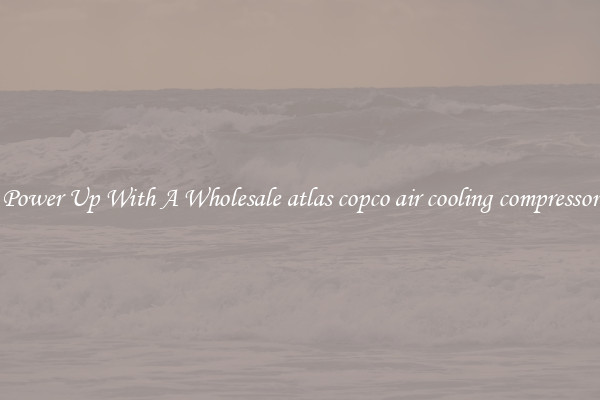 Power Up With A Wholesale atlas copco air cooling compressor